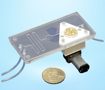 chip-pump